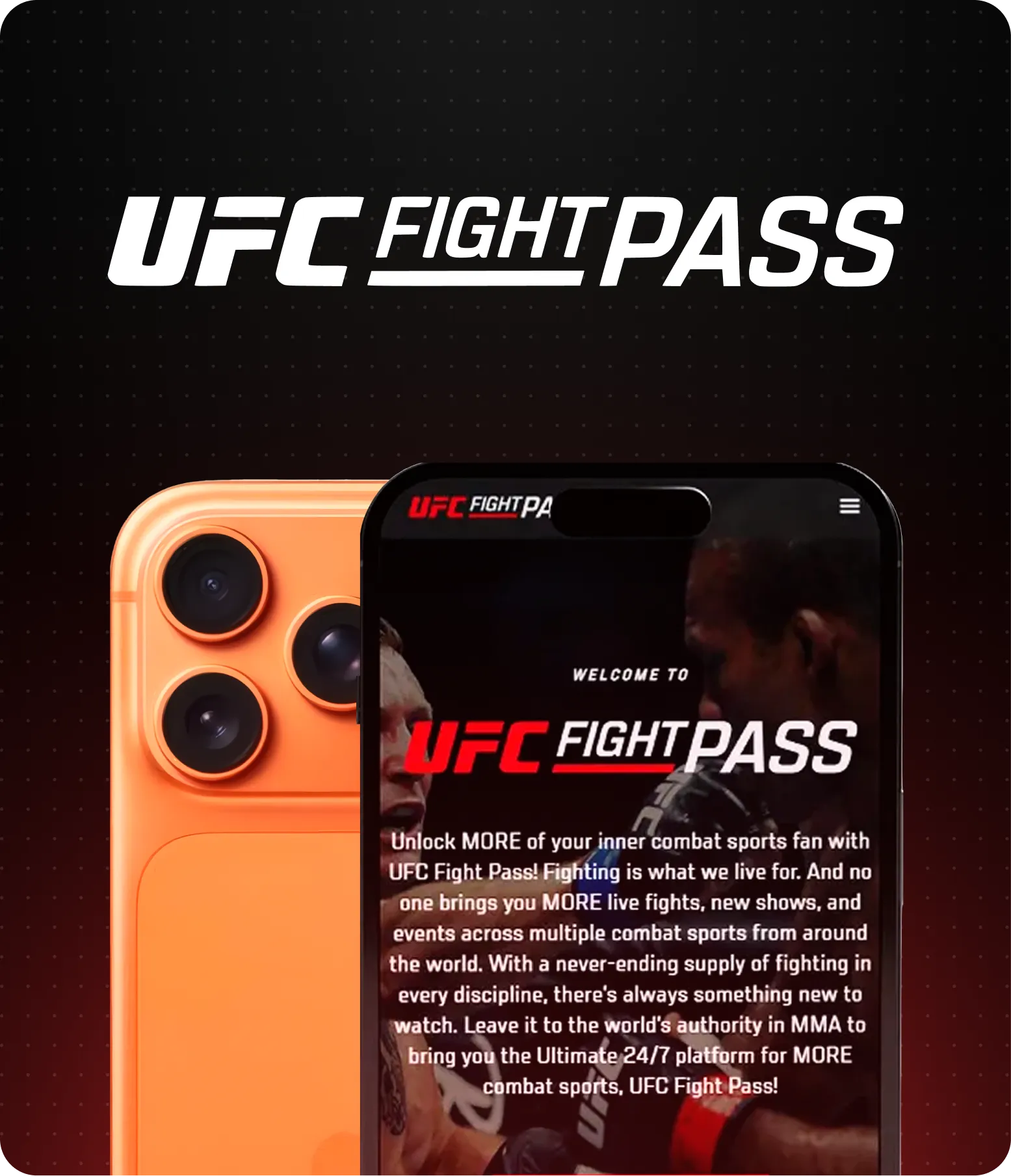 ufc-1.webp